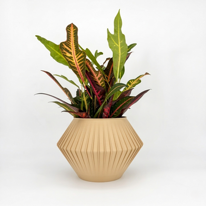 CHUNJI Planter