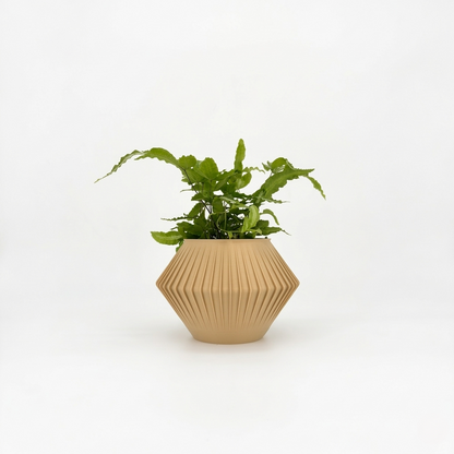 CHUNJI Planter
