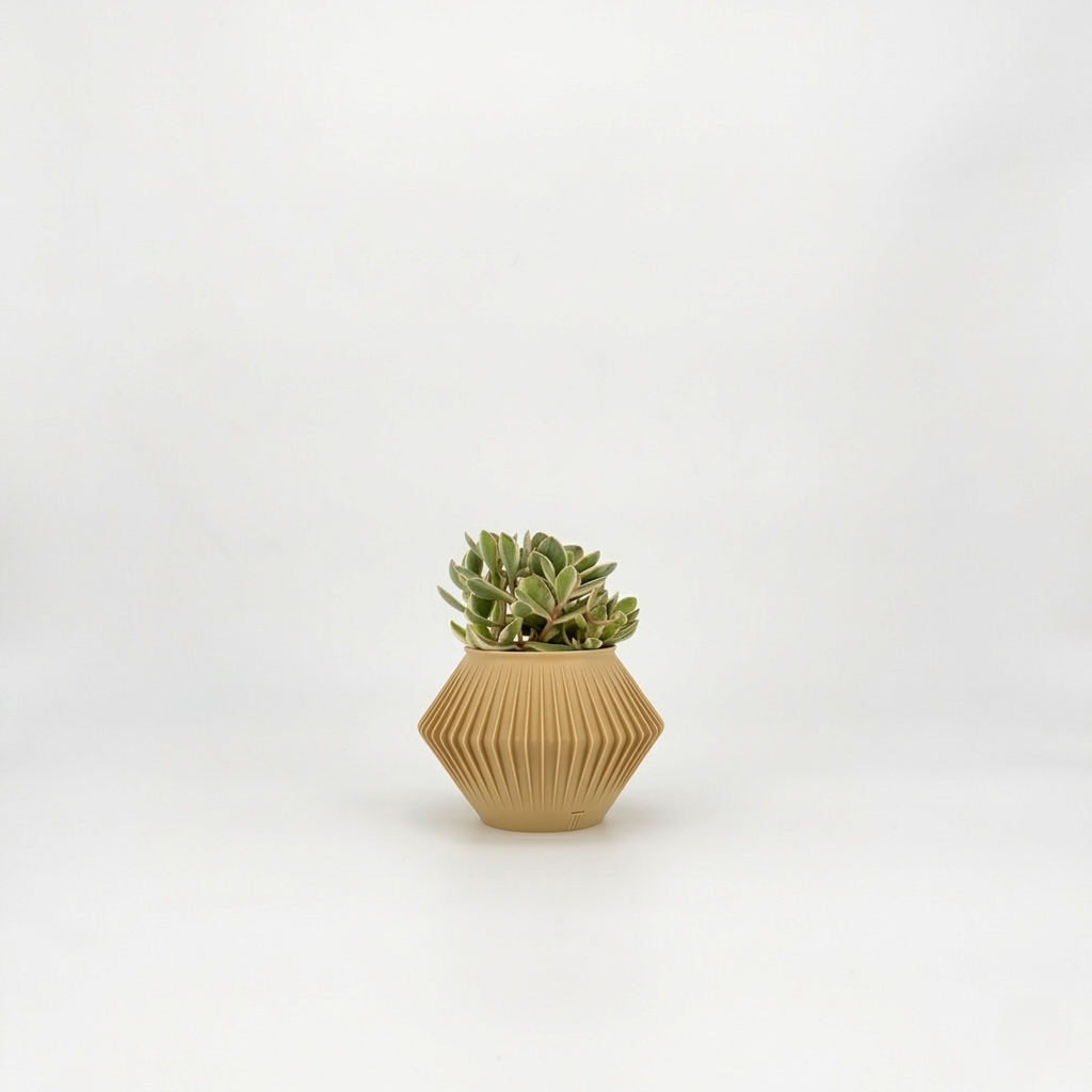 CHUNJI Planter