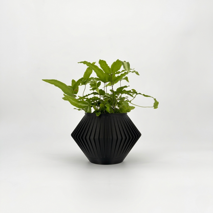 CHUNJI Planter