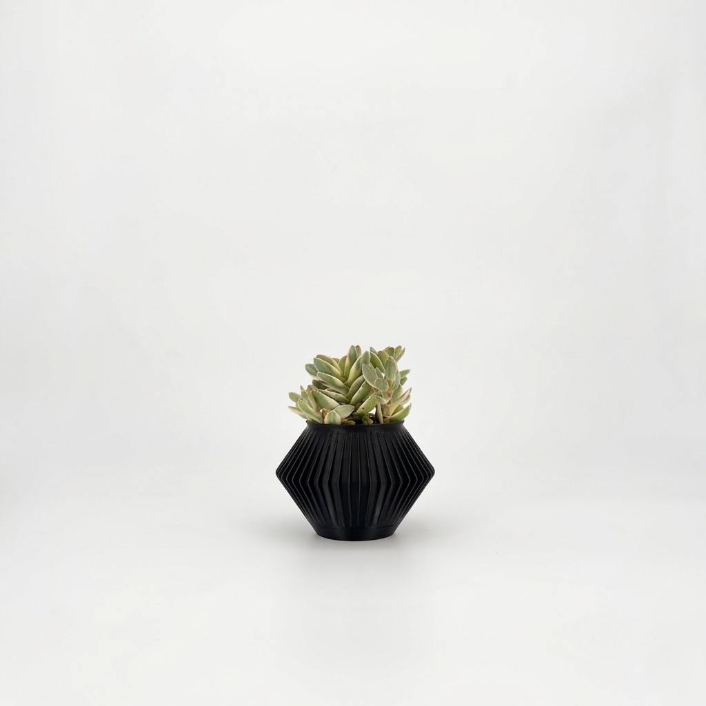 CHUNJI Planter