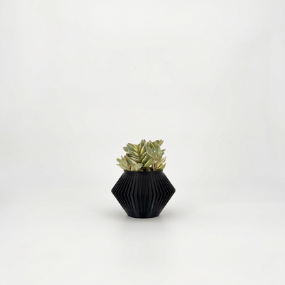 CHUNJI Planter