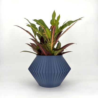 CHUNJI Planter