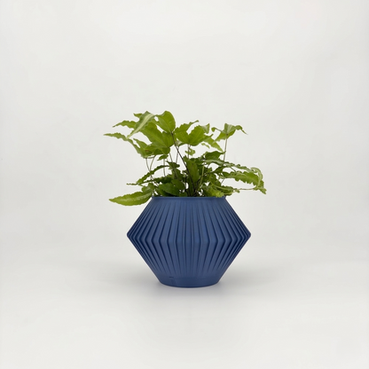 CHUNJI Planter