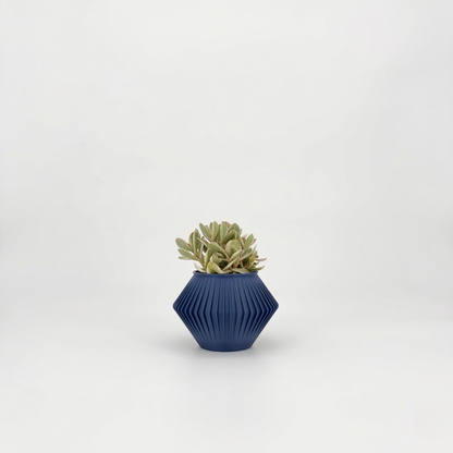 CHUNJI Planter