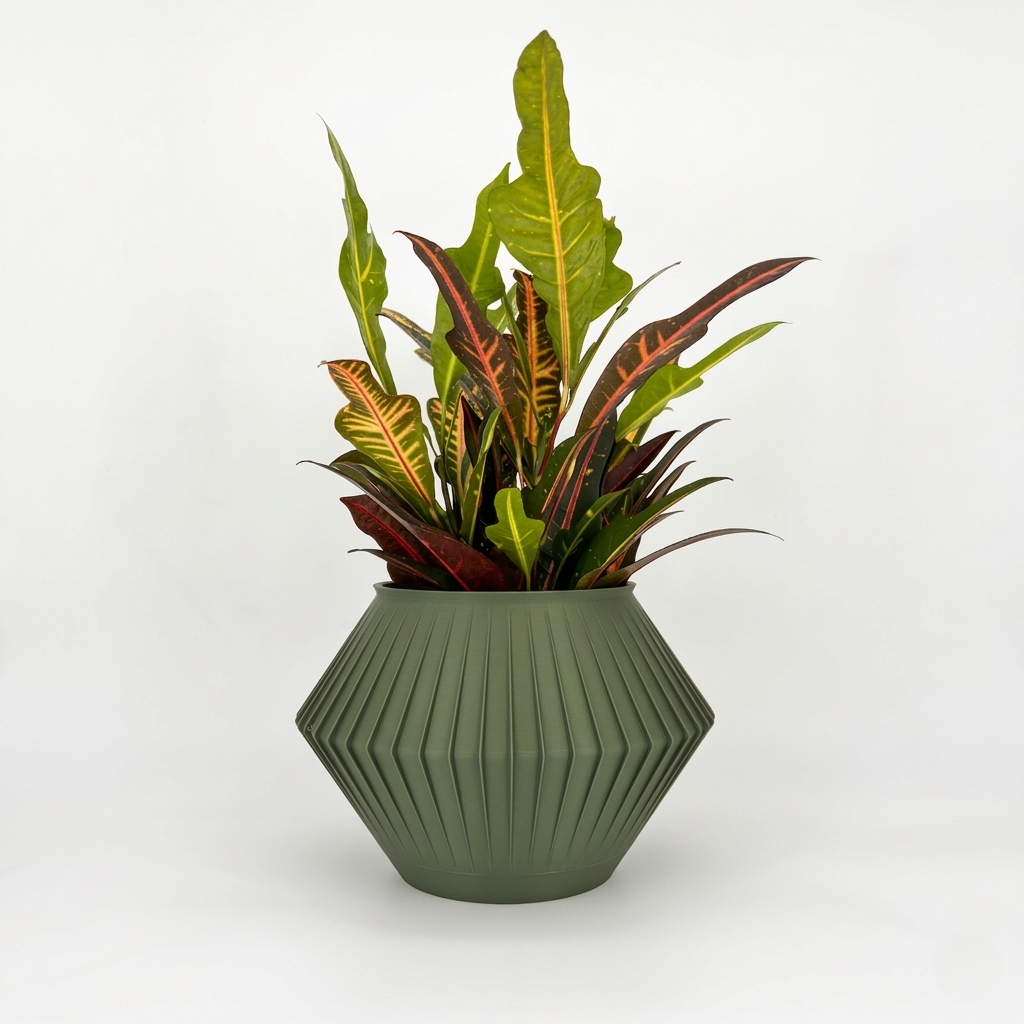 CHUNJI Planter