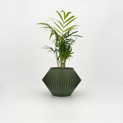 CHUNJI Planter