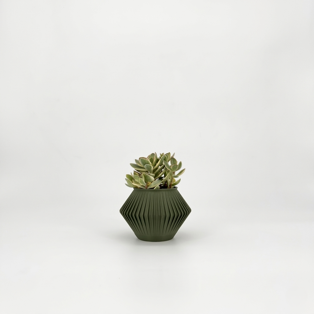 CHUNJI Planter