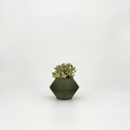 CHUNJI Planter