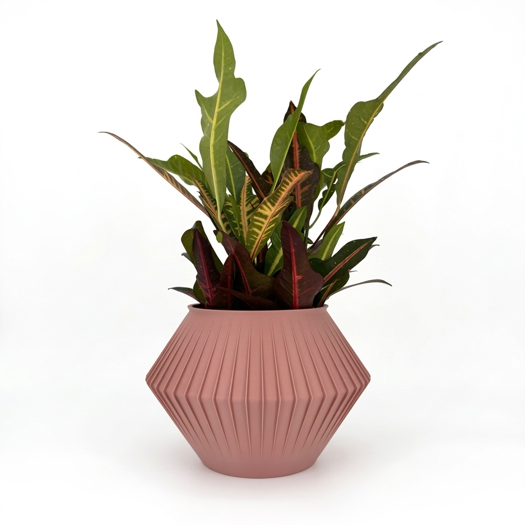 CHUNJI Planter