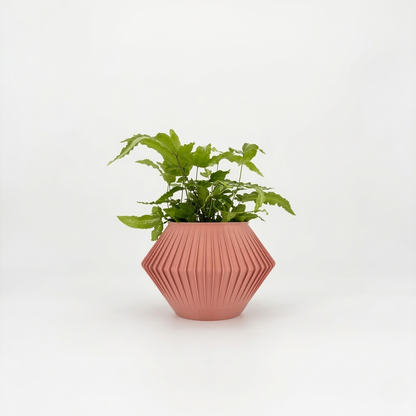 CHUNJI Planter