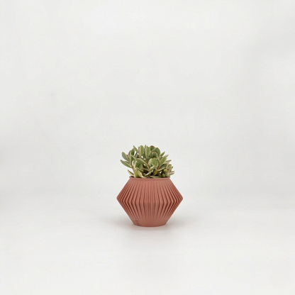 CHUNJI Planter