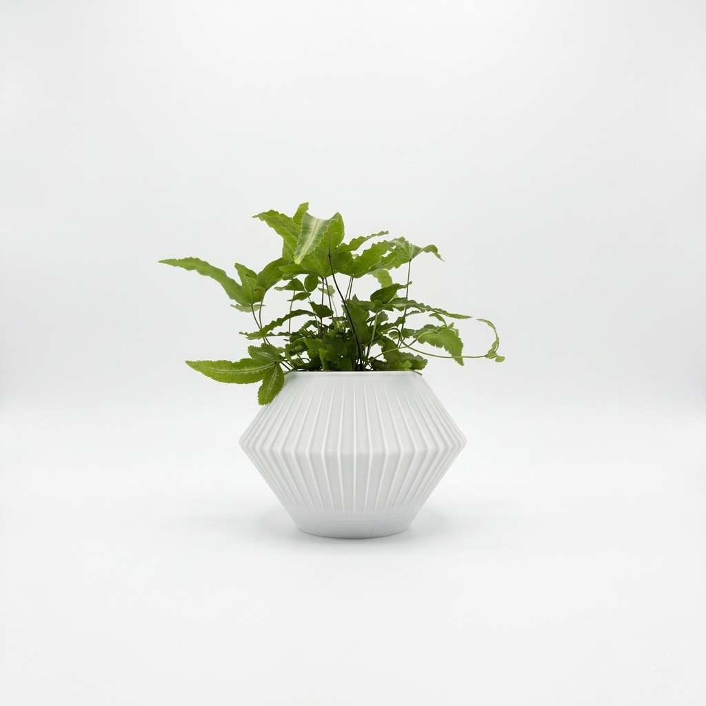CHUNJI Planter