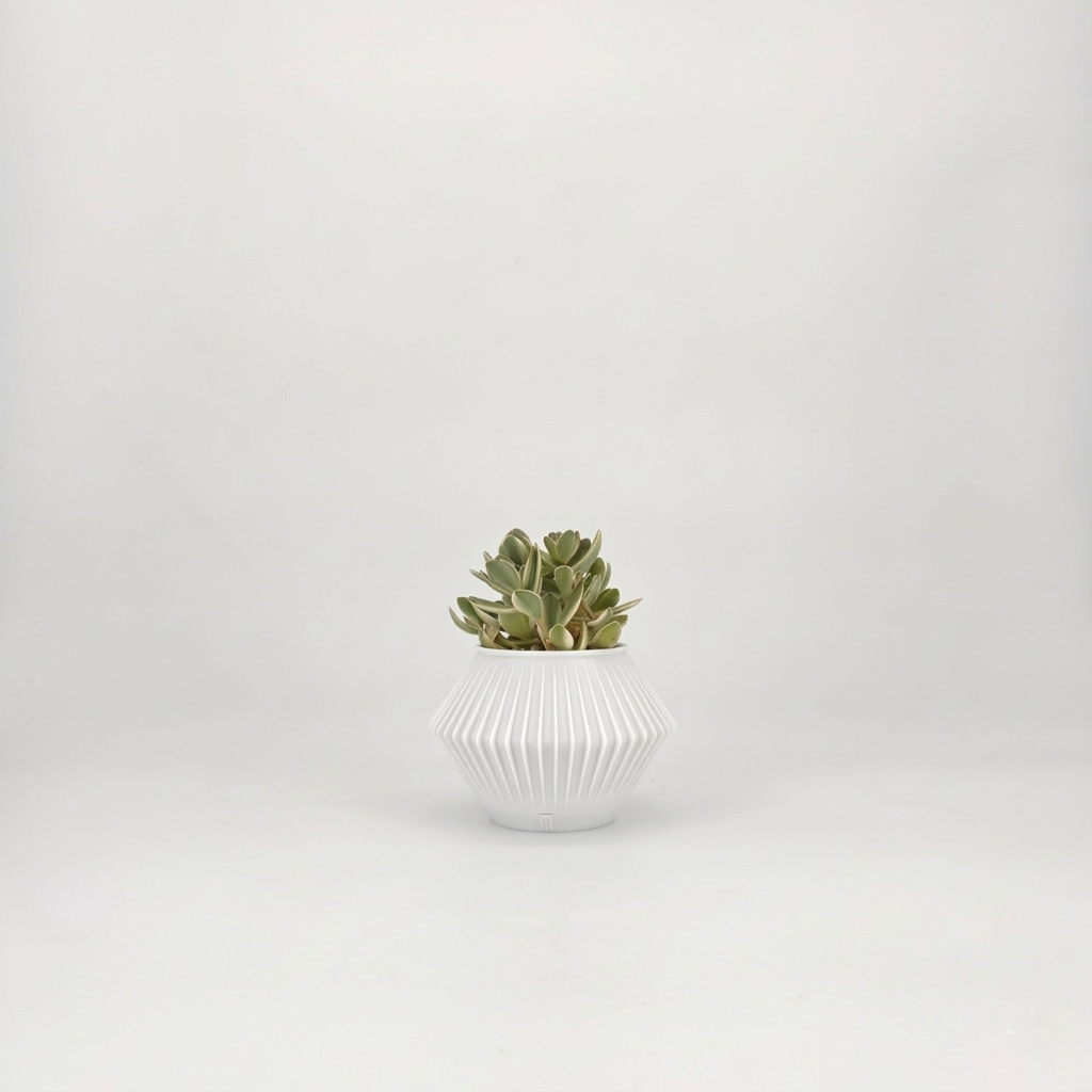 CHUNJI Planter
