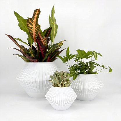 CHUNJI Planter