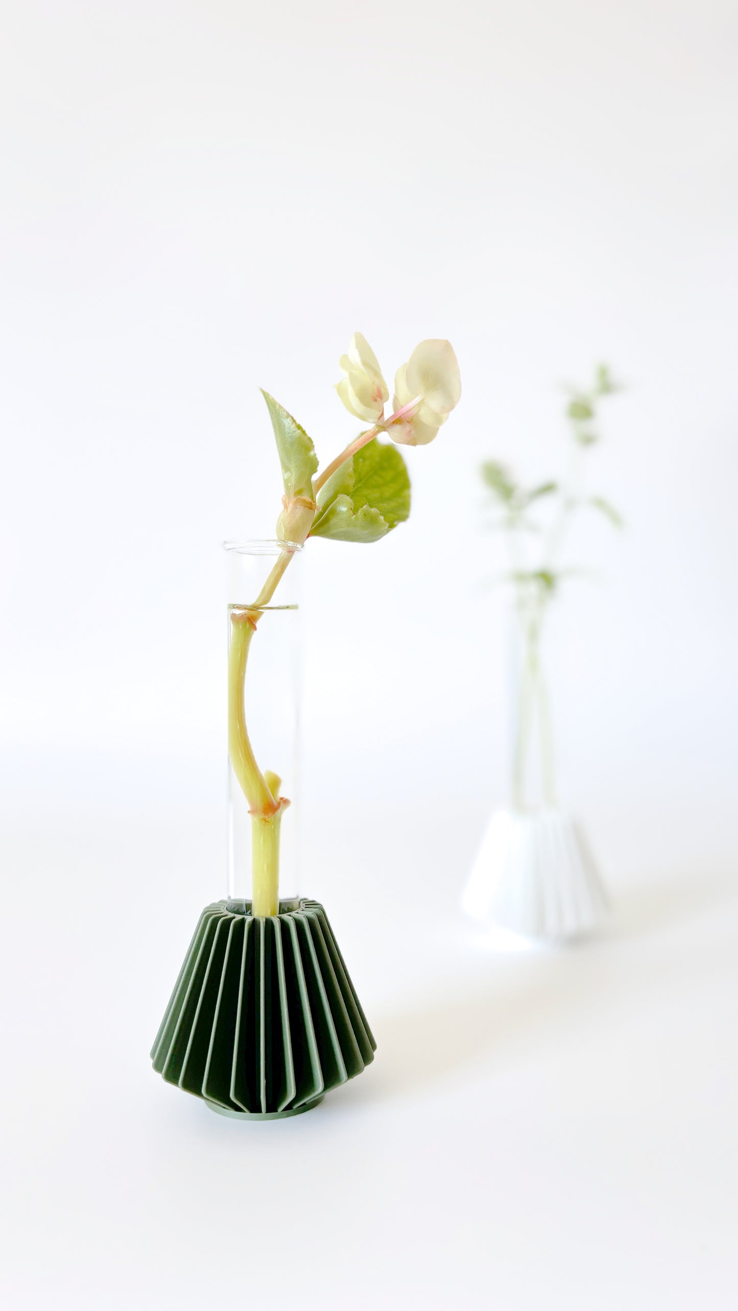 HANOK Mini Propagation Station