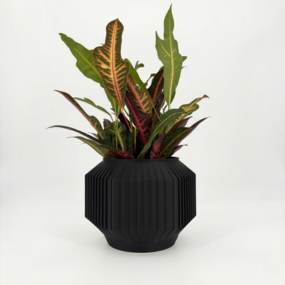 JEJU Planter