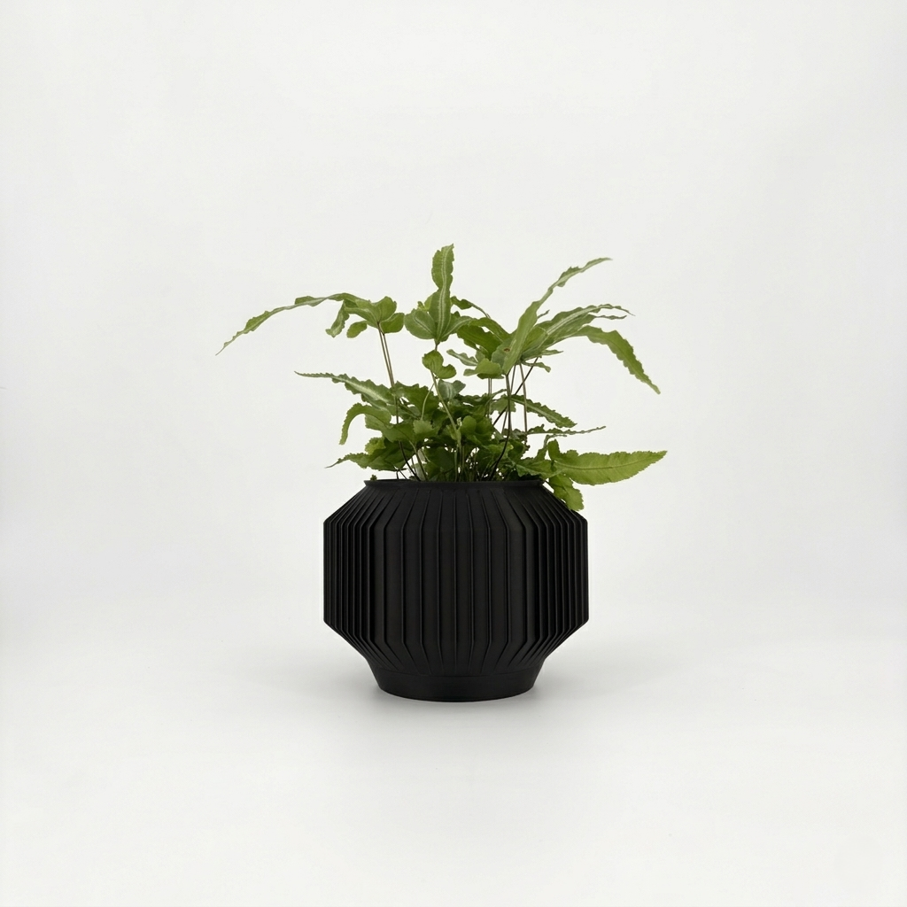 JEJU Planter