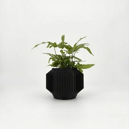 JEJU Planter