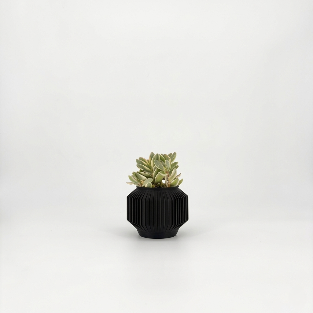 JEJU Planter