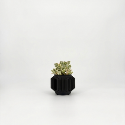 JEJU Planter