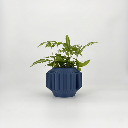 JEJU Planter