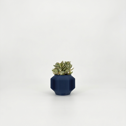 JEJU Planter