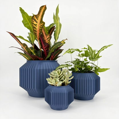 JEJU Planter