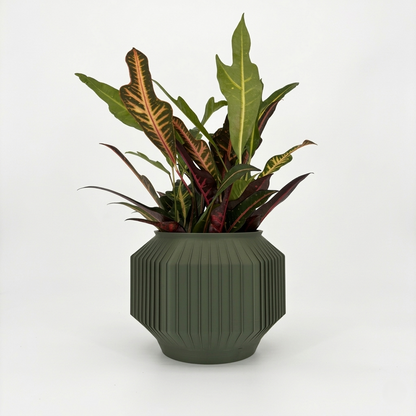 JEJU Planter
