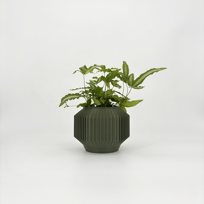 JEJU Planter