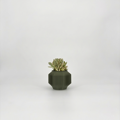 JEJU Planter