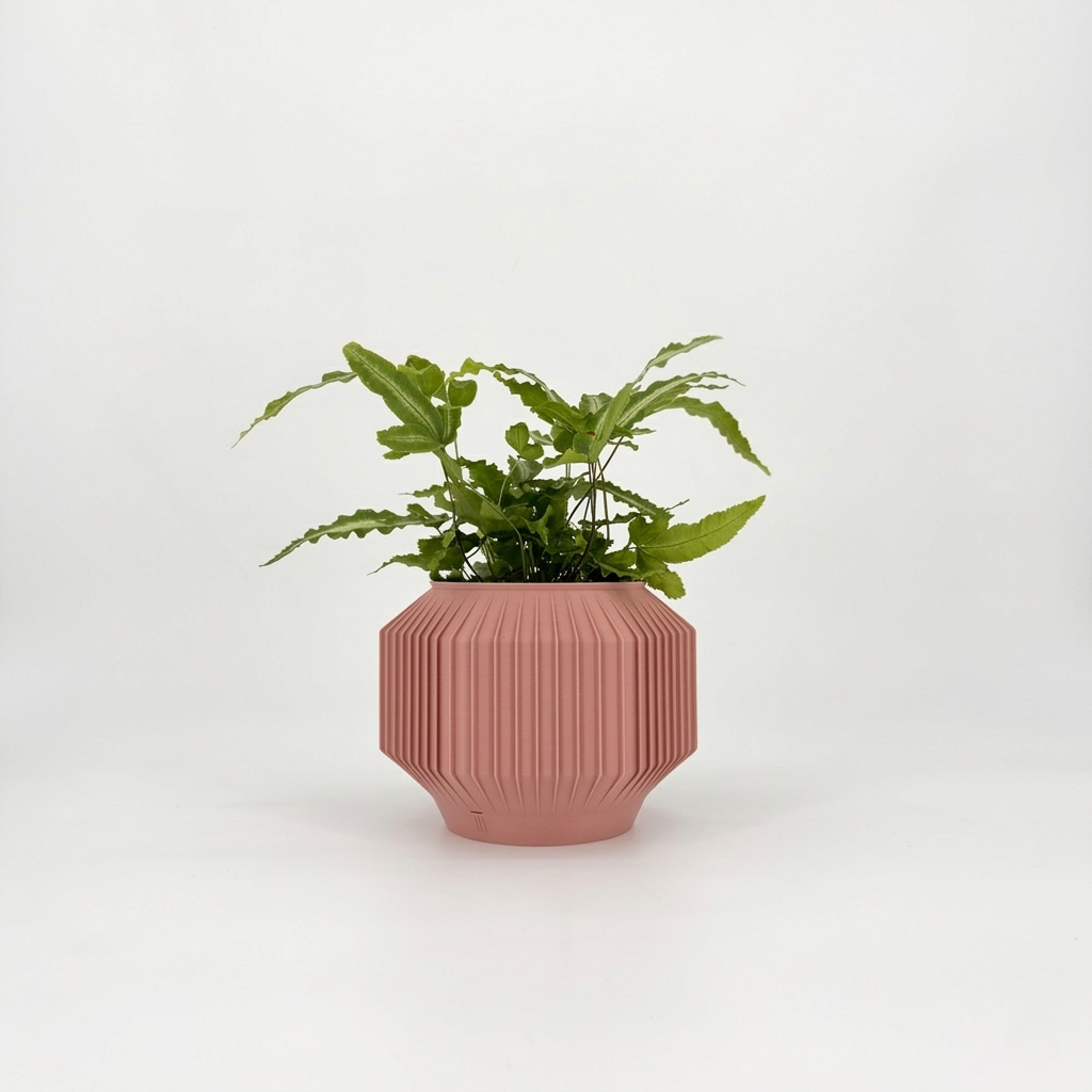 JEJU Planter