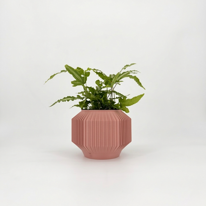 JEJU Planter