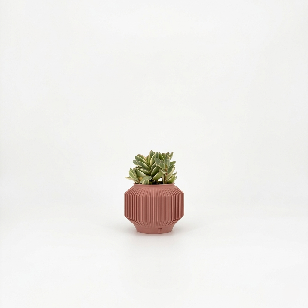 JEJU Planter