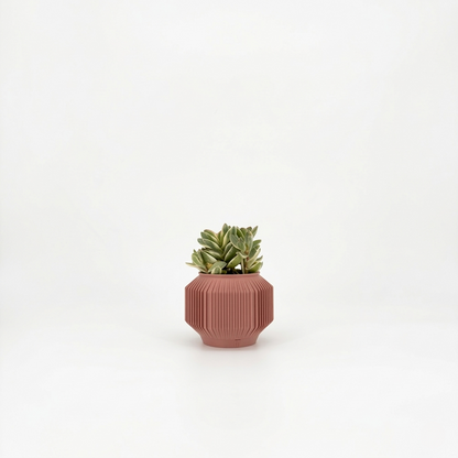 JEJU Planter