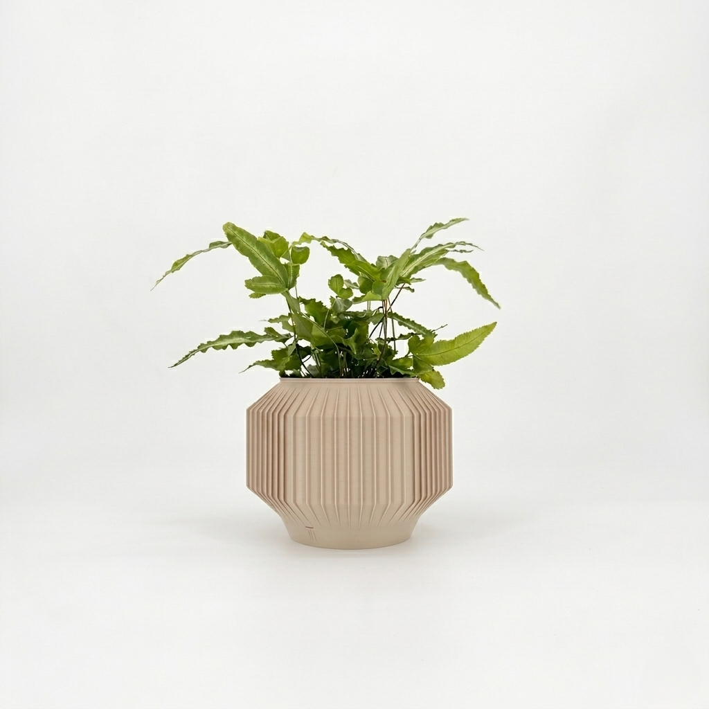 JEJU Planter