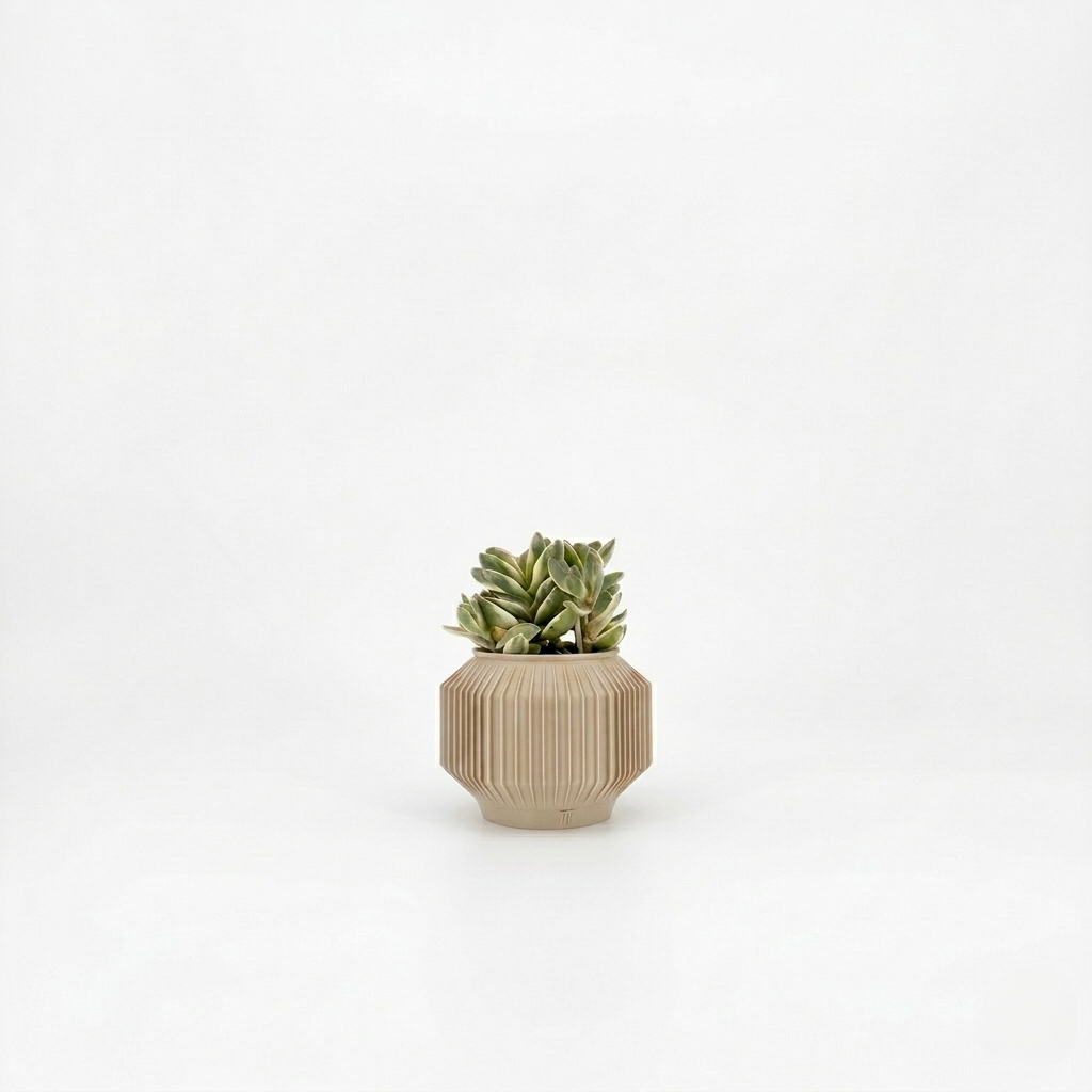 JEJU Planter