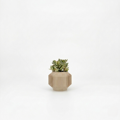 JEJU Planter