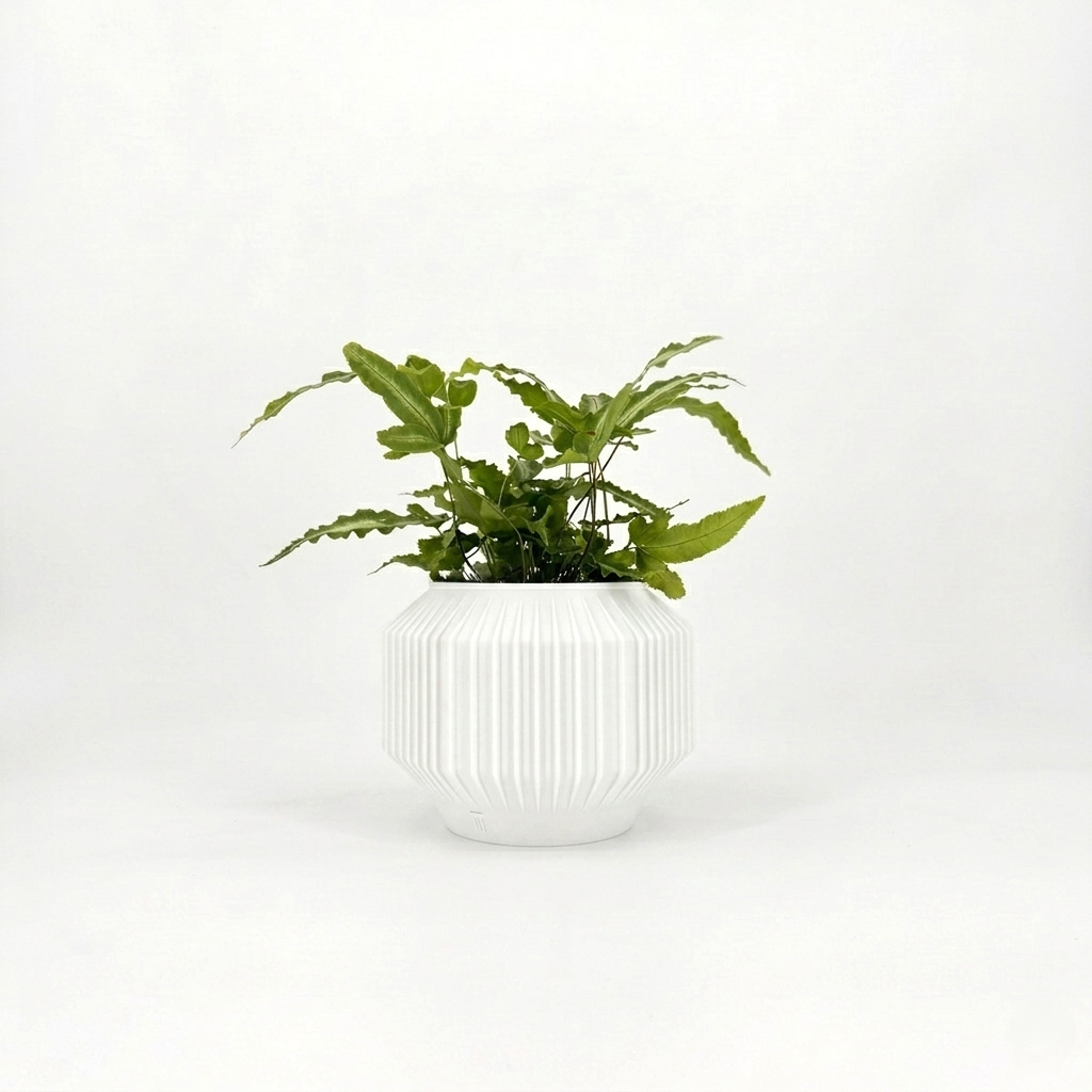 JEJU Planter