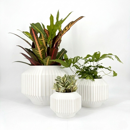 JEJU Planter