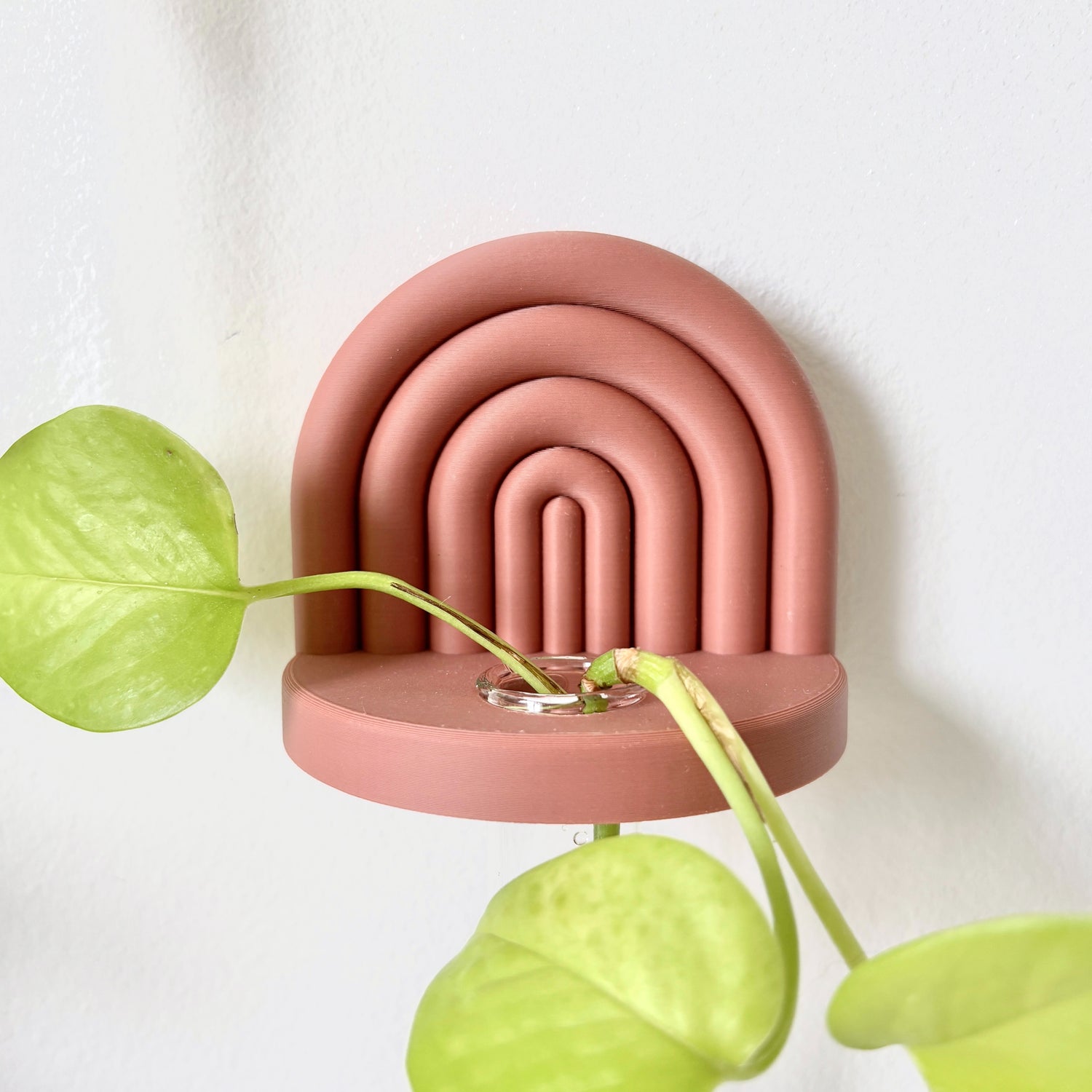 Terra cotta wall hanging propagation station in rainbow arched design