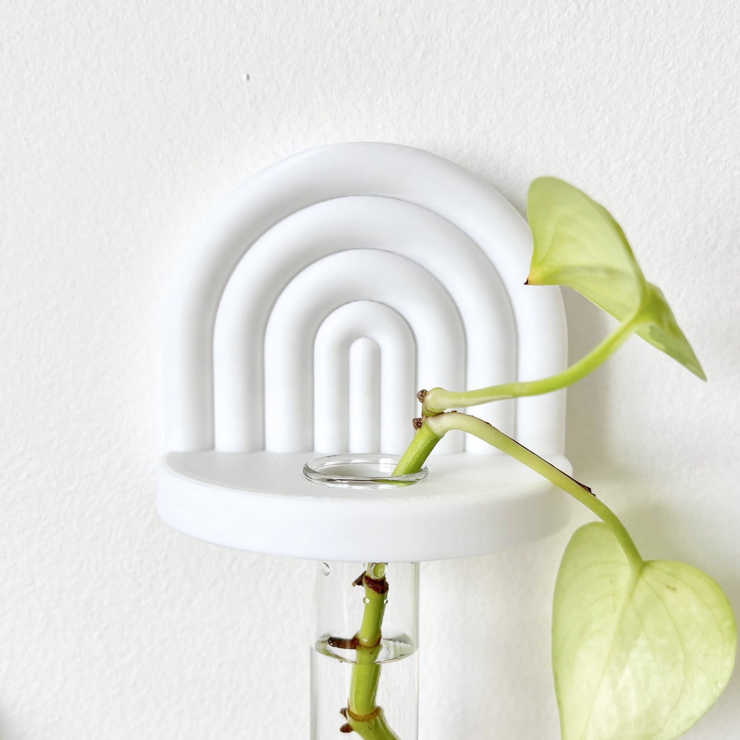 White wall hanging propagation station in rainbow arched design