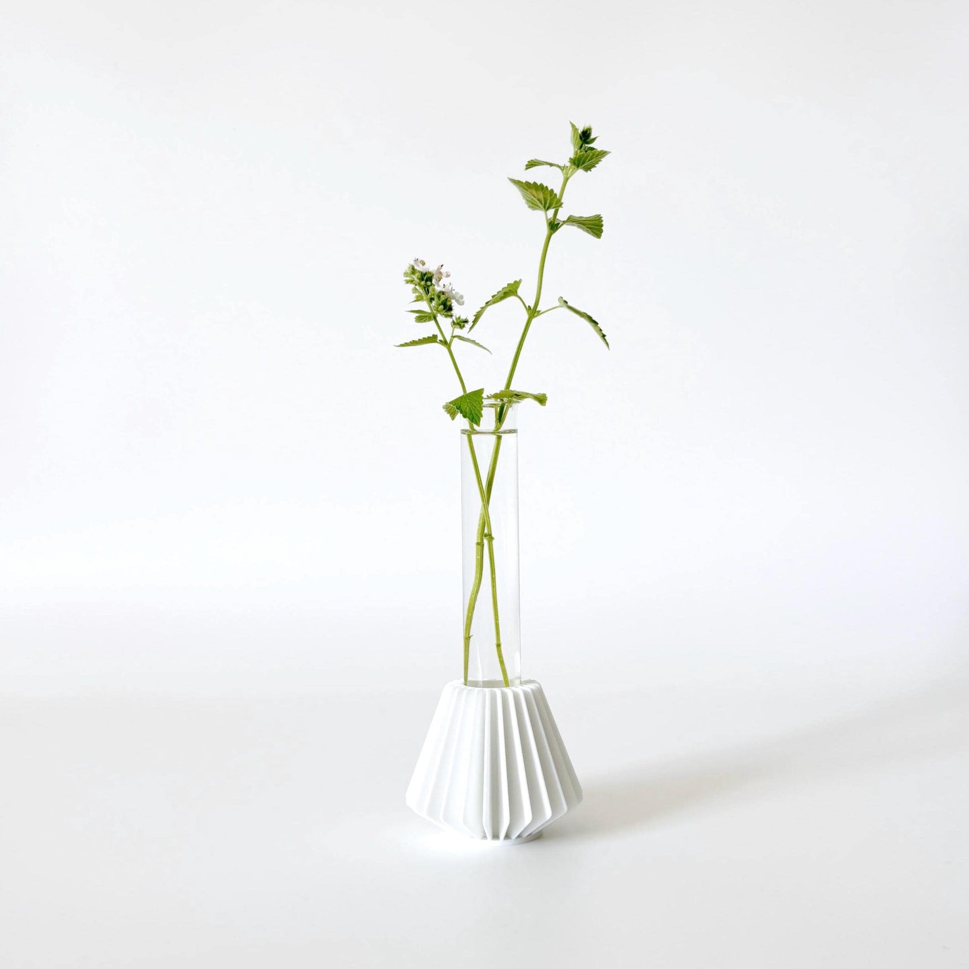 Propagation Station / Minimalist Floral Bud Vase / 3D Printed / HANOK Mini