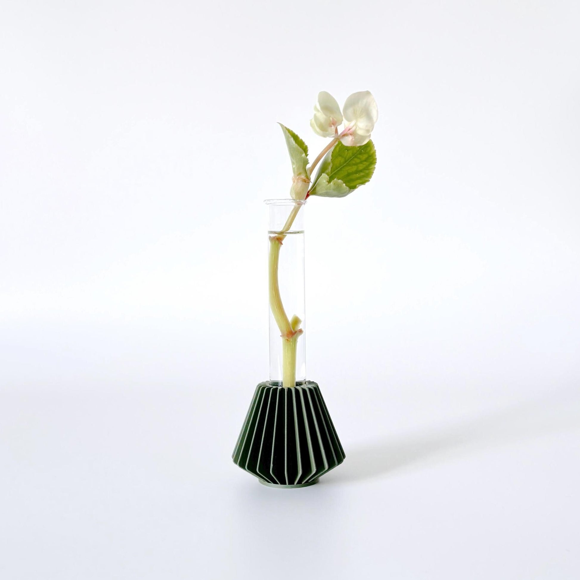 Propagation Station / Minimalist Floral Bud Vase / 3D Printed / HANOK Mini